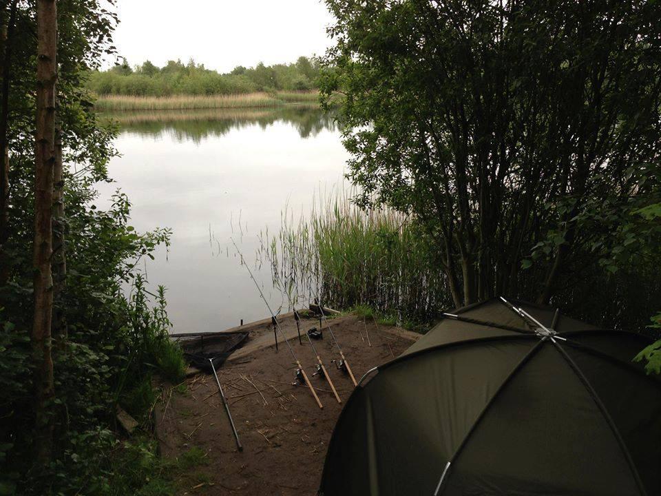 ::::::::- LIKE -:::::: - 10027985427749524249441302452761n.jpg